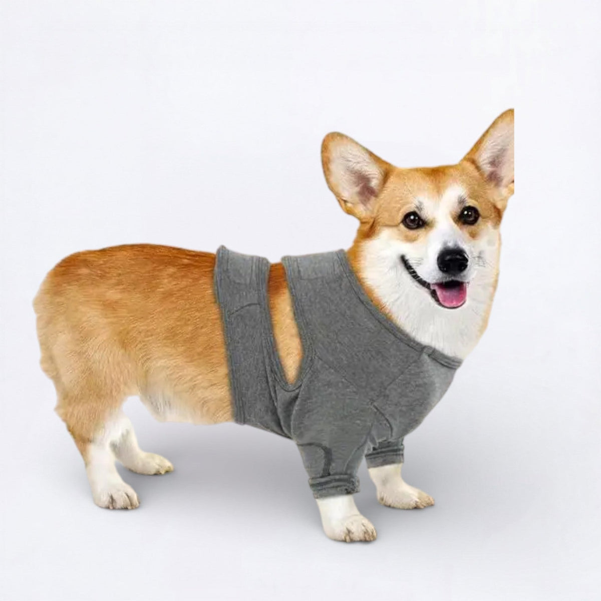 Dog-Anti-Lick-Recovery-Front-Leg-Cuff.jpg