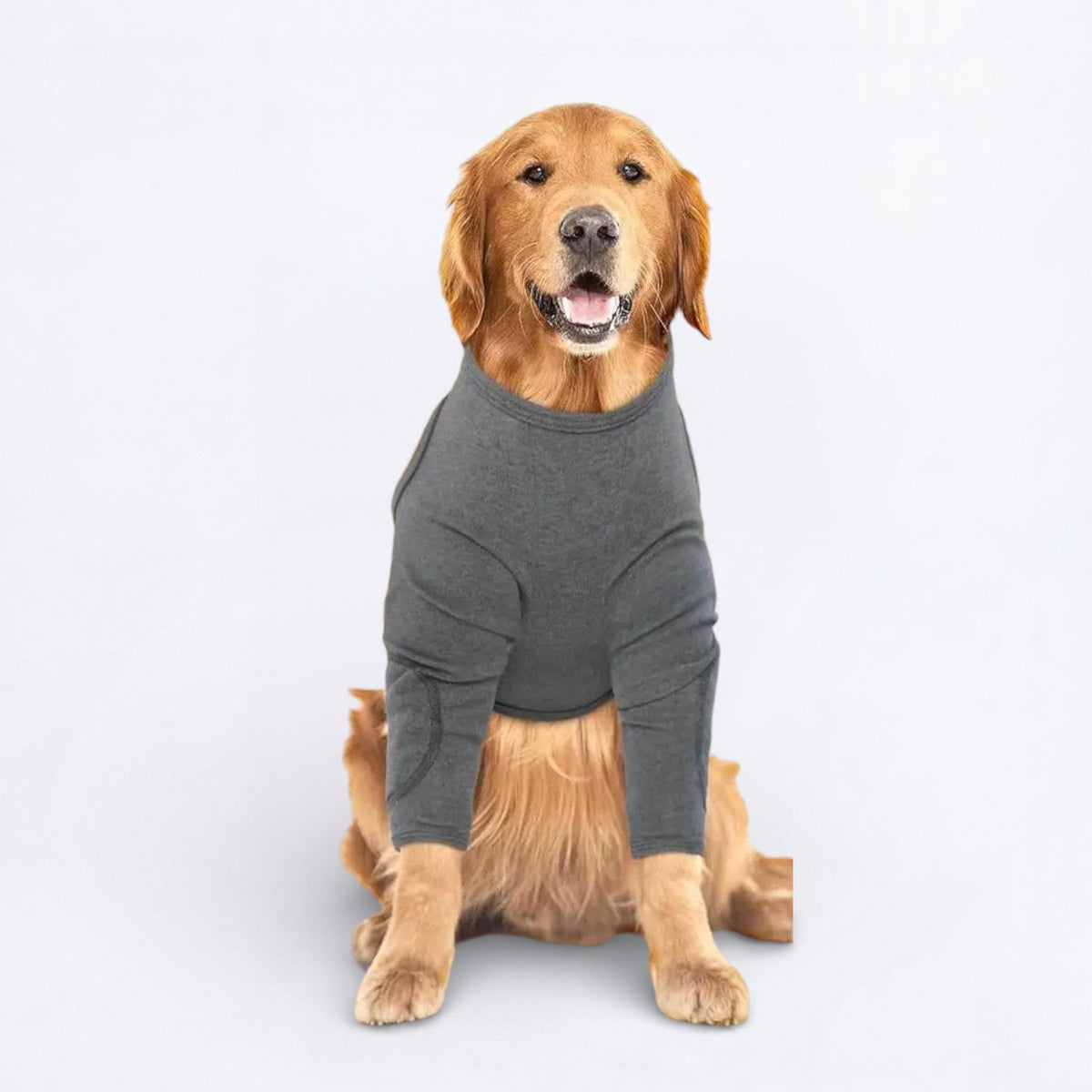 Dog-Anti-Lick-Recovery-Front-Leg-Cuff.jpg