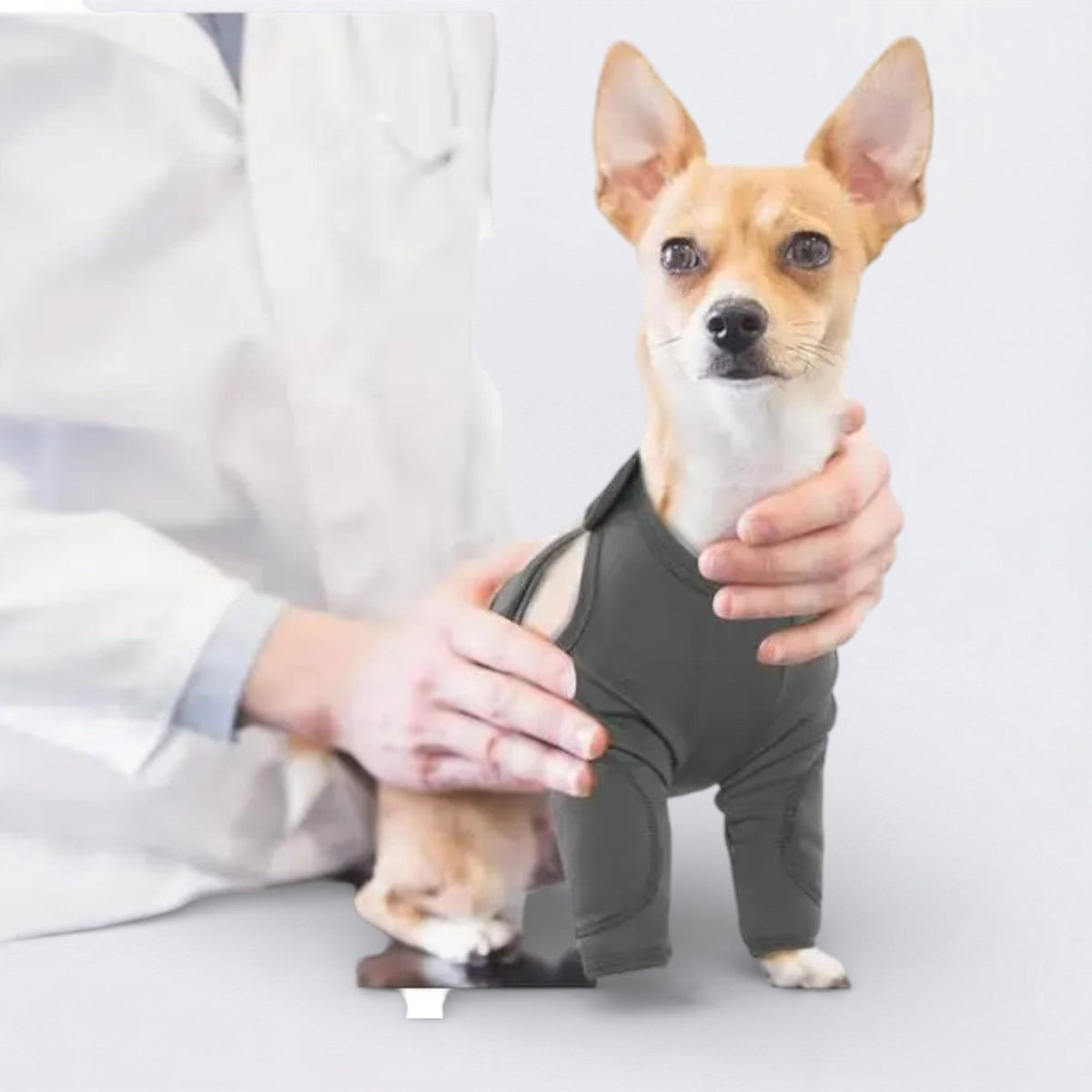 Dog-Anti-Lick-Recovery-Front-Leg-Cuff.jpg