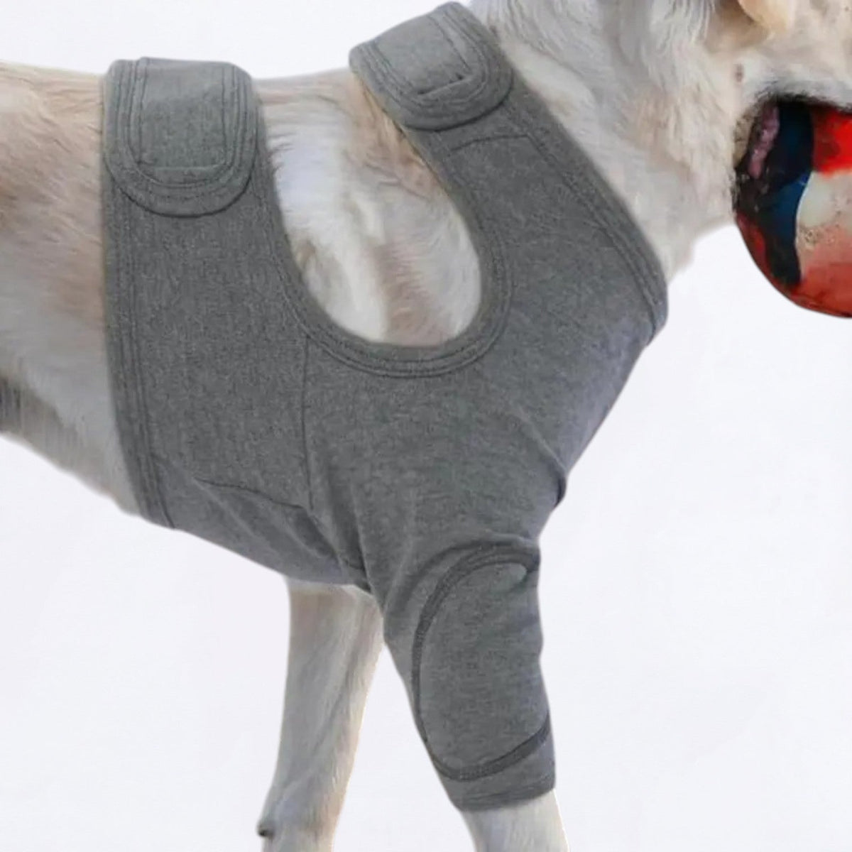 Dog-Anti-Lick-Recovery-Front-Leg-Cuff.jpg