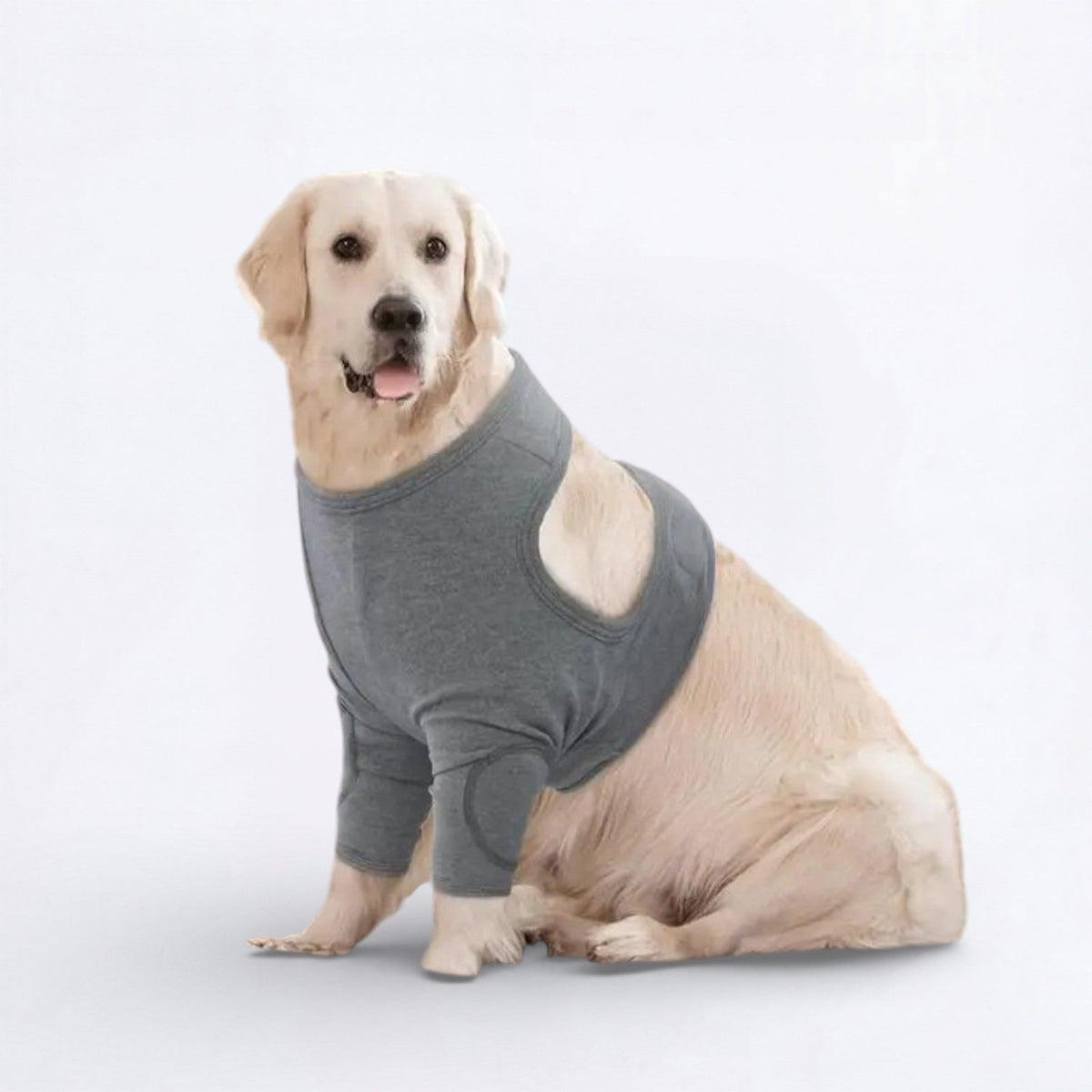 Dog-Anti-Lick-Recovery-Front-Leg-Cuff.jpg