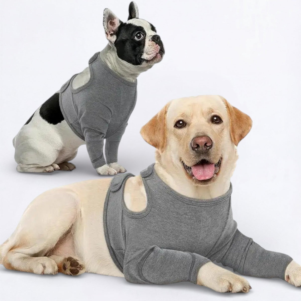 Dog-Anti-Lick-Recovery-Front-Leg-Cuff.jpg