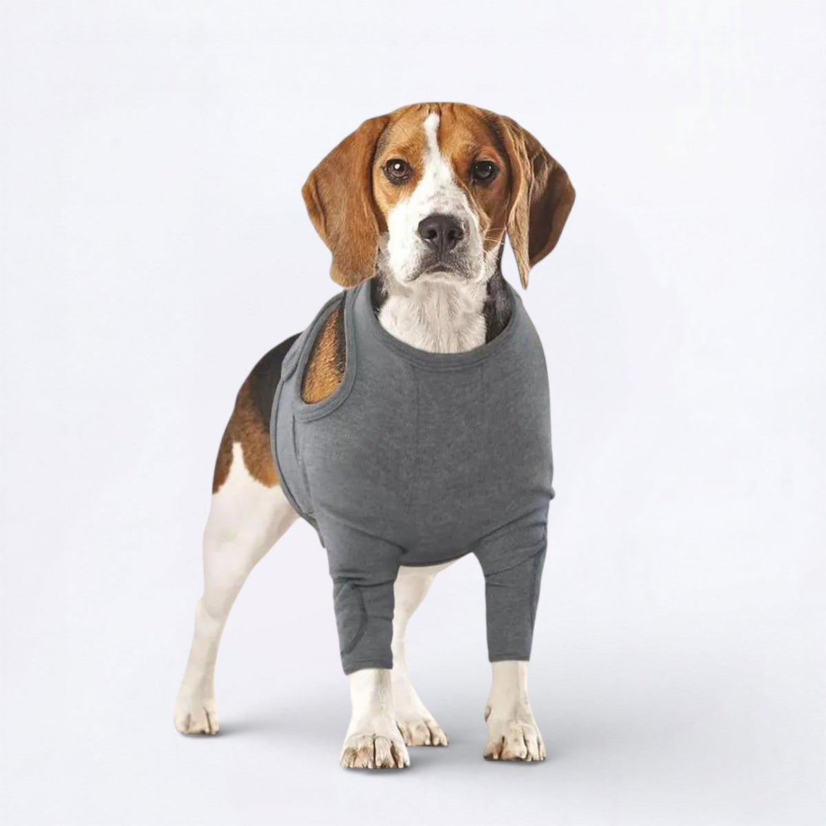Dog-Anti-Lick-Recovery-Front-Leg-Cuff.jpg