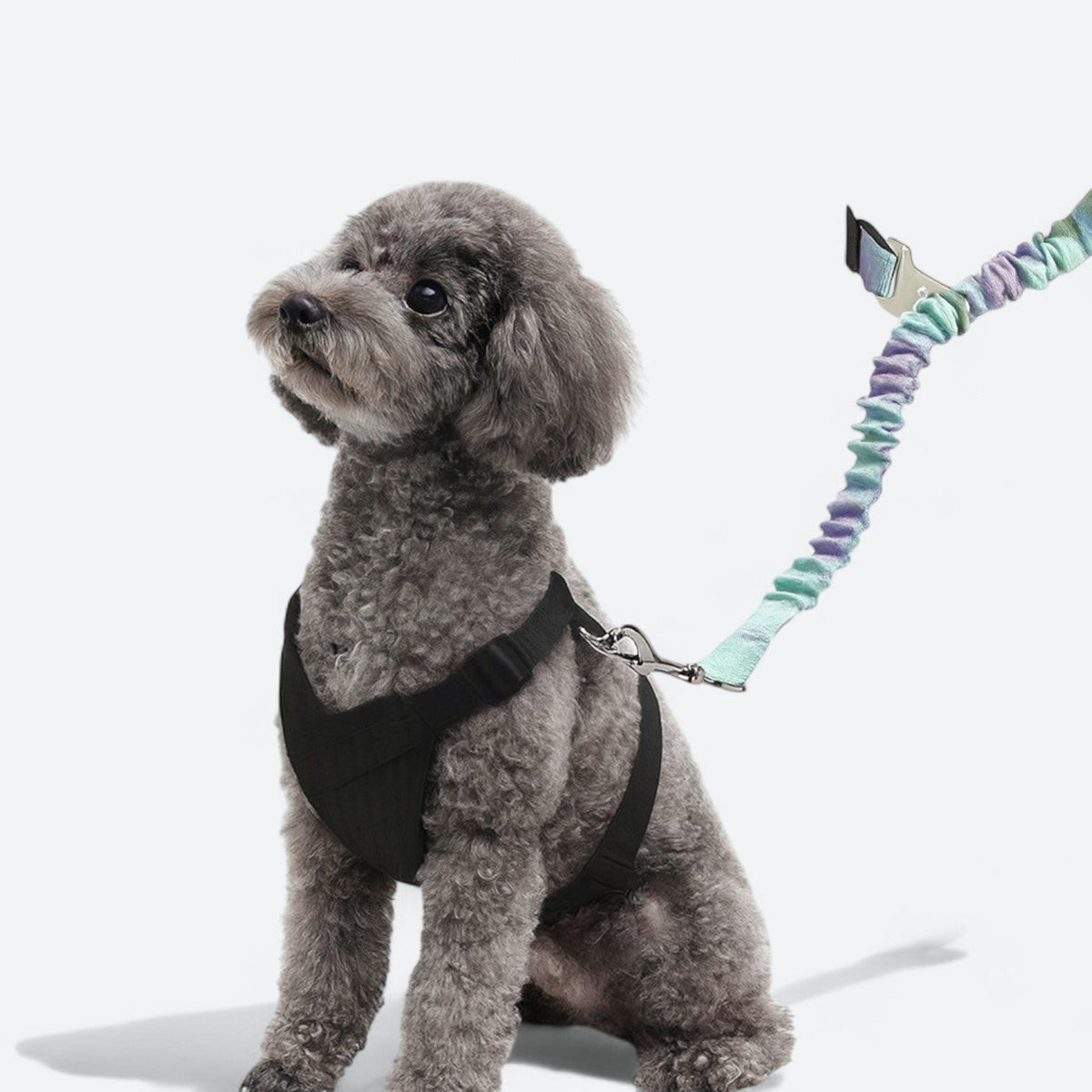 Dog-Car-Safety-Seat-Belt.jpg