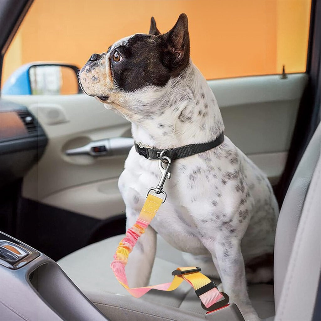 Dog-Car-Safety-Seat-Belt.jpg