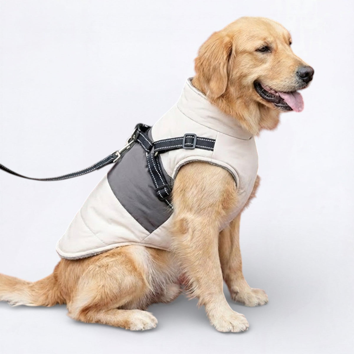 Dog-Down-Jacket.jpg