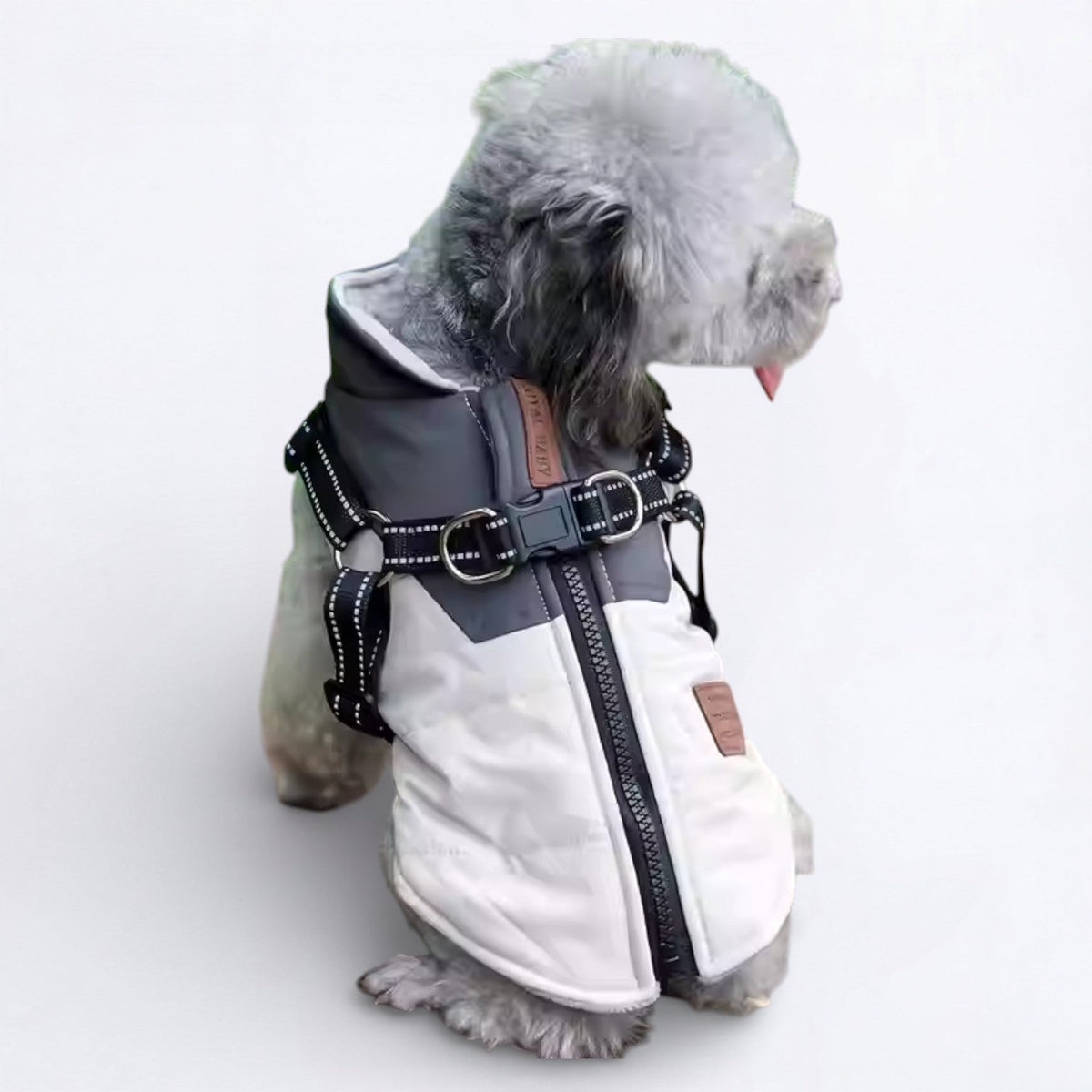 Dog-Down-Jacket.jpg