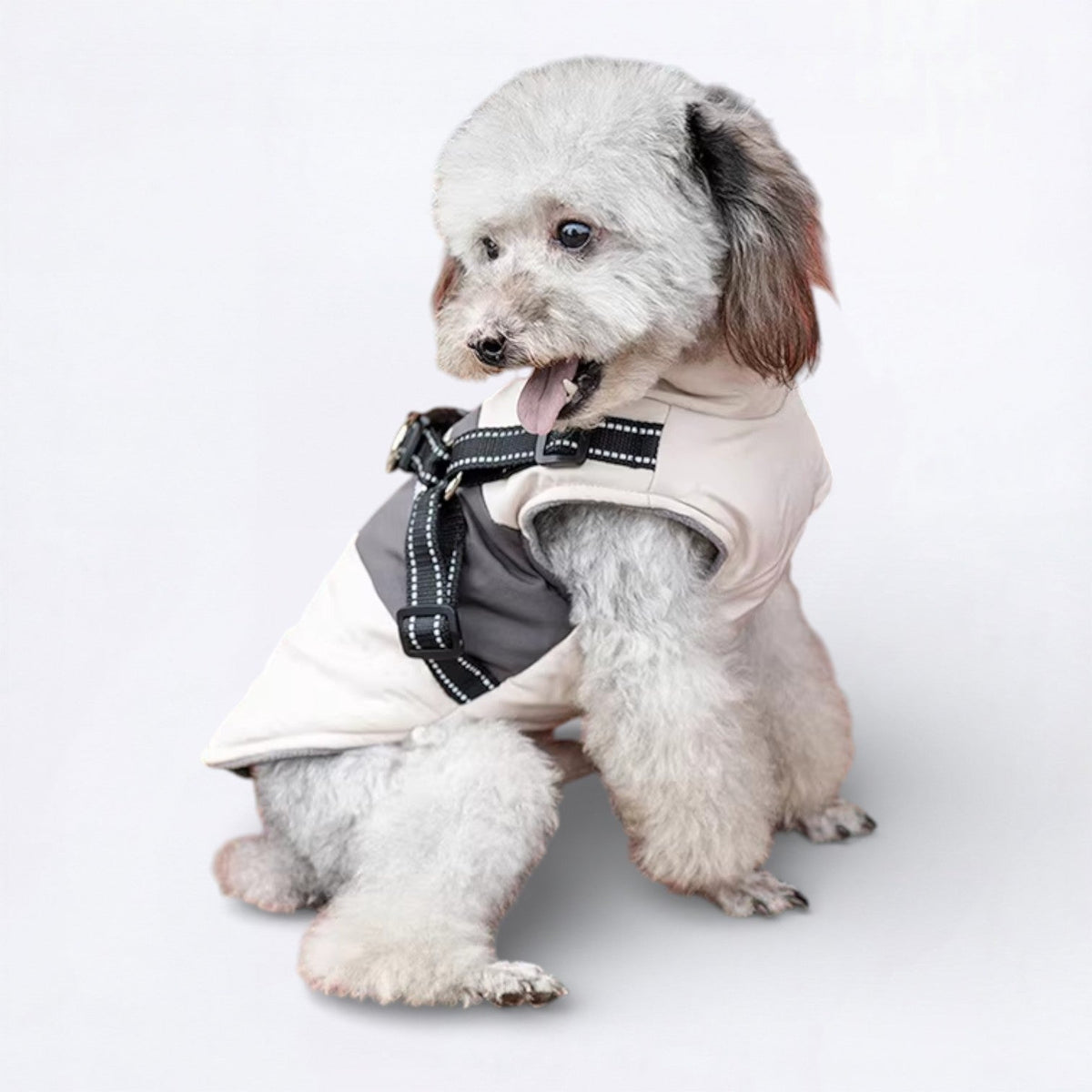 Dog-Down-Jacket.jpg