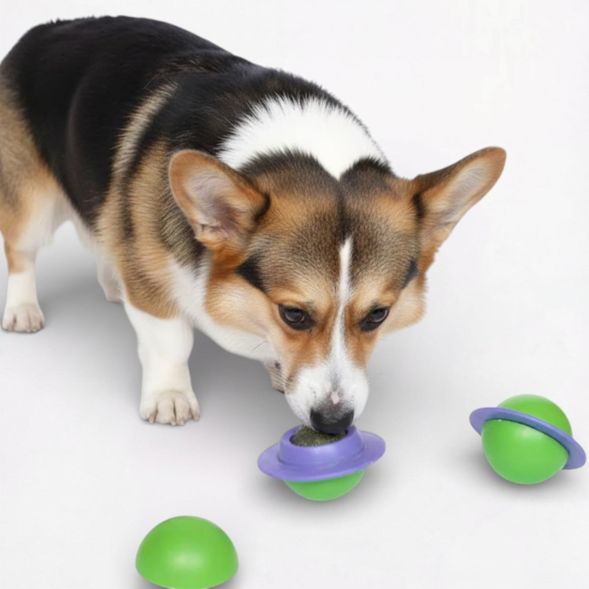 Dog-Happy-Rotating-Planet-Ball-Toy.jpg