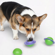 Dog-Happy-Rotating-Planet-Ball-Toy.jpg