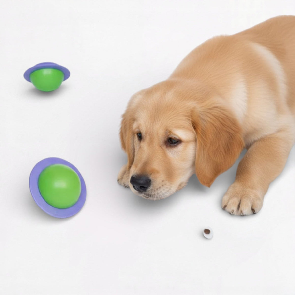 Dog-Happy-Rotating-Planet-Ball-Toy.jpg