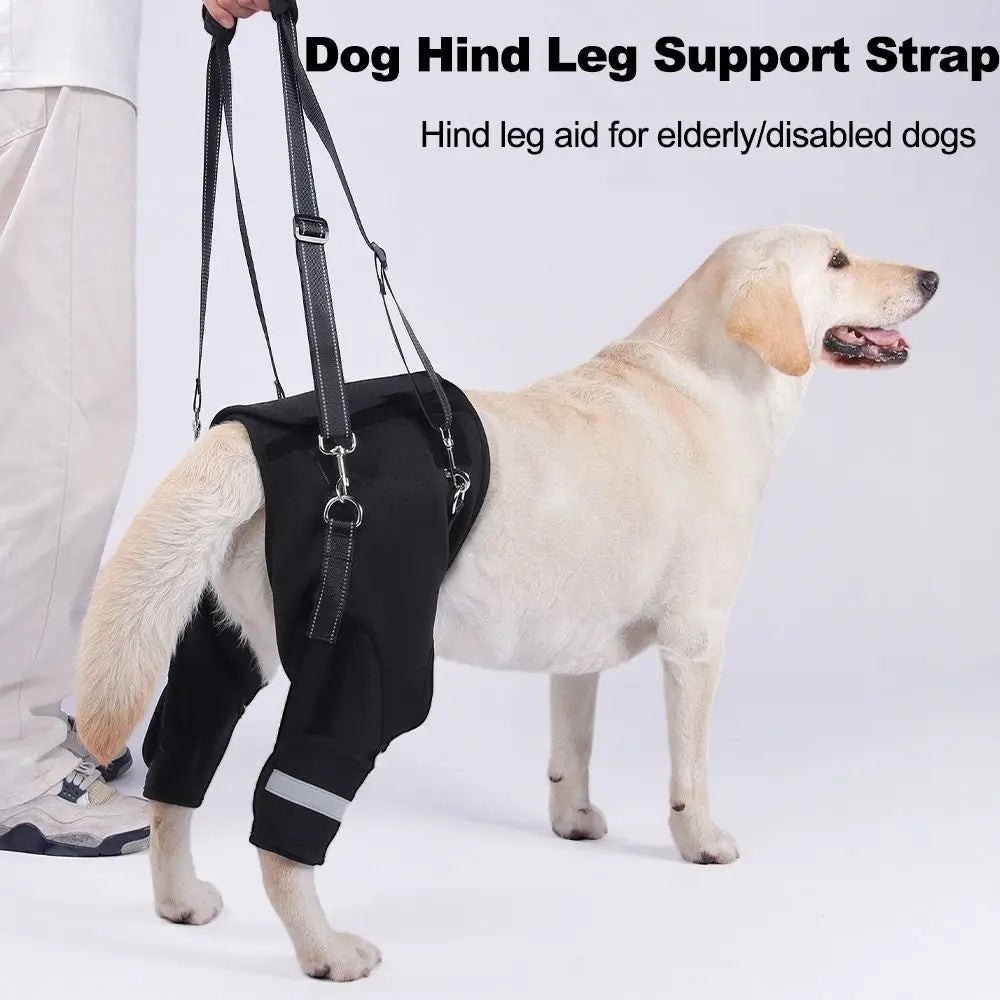 Dog-Hind-Leg-Support-Harness.jpg