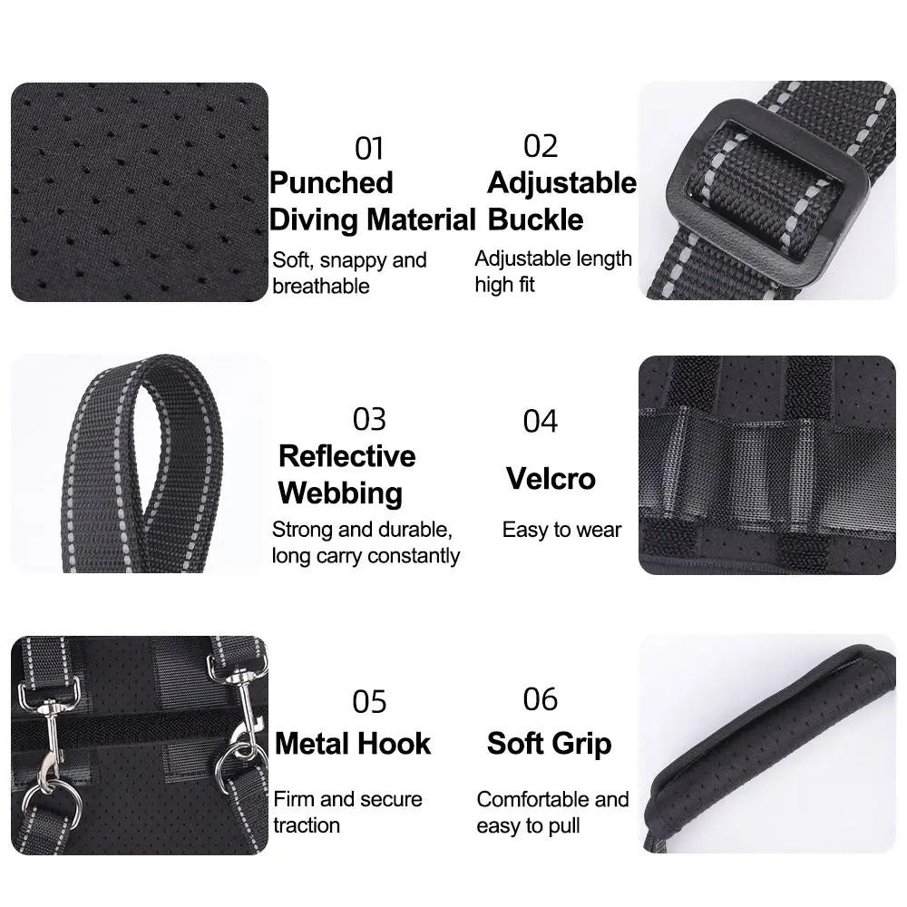 Dog-Hind-Leg-Support-Harness.jpg