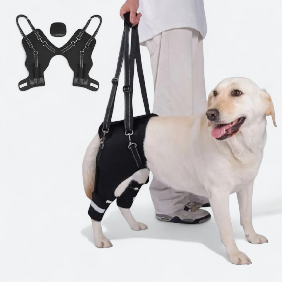 Rear leg support lift harness for dogs