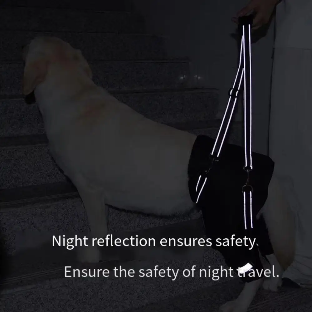 Dog-Hind-Leg-Support-Harness.jpg