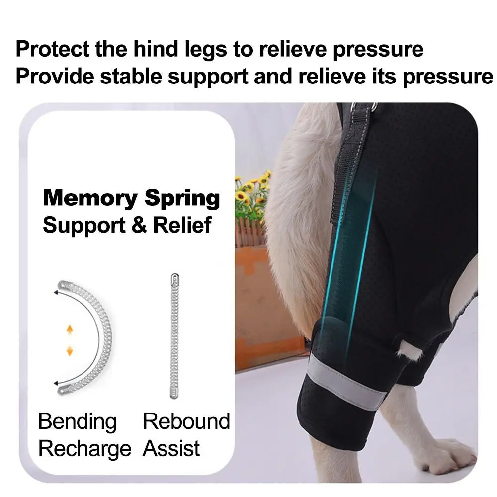 Dog-Hind-Leg-Support-Harness.jpg