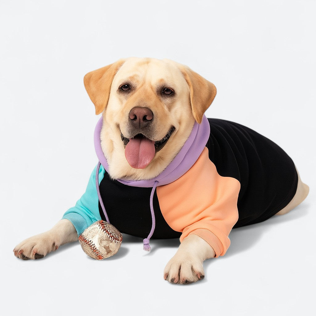 Dog-Human-Matching-Hoodie.jpg