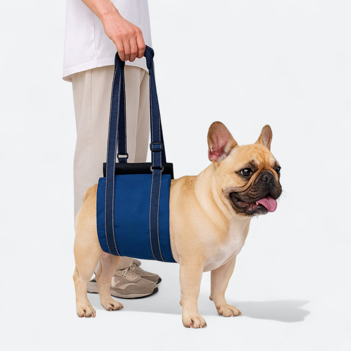 Dog-Lift-Rehab-Chest-Harness.jpg