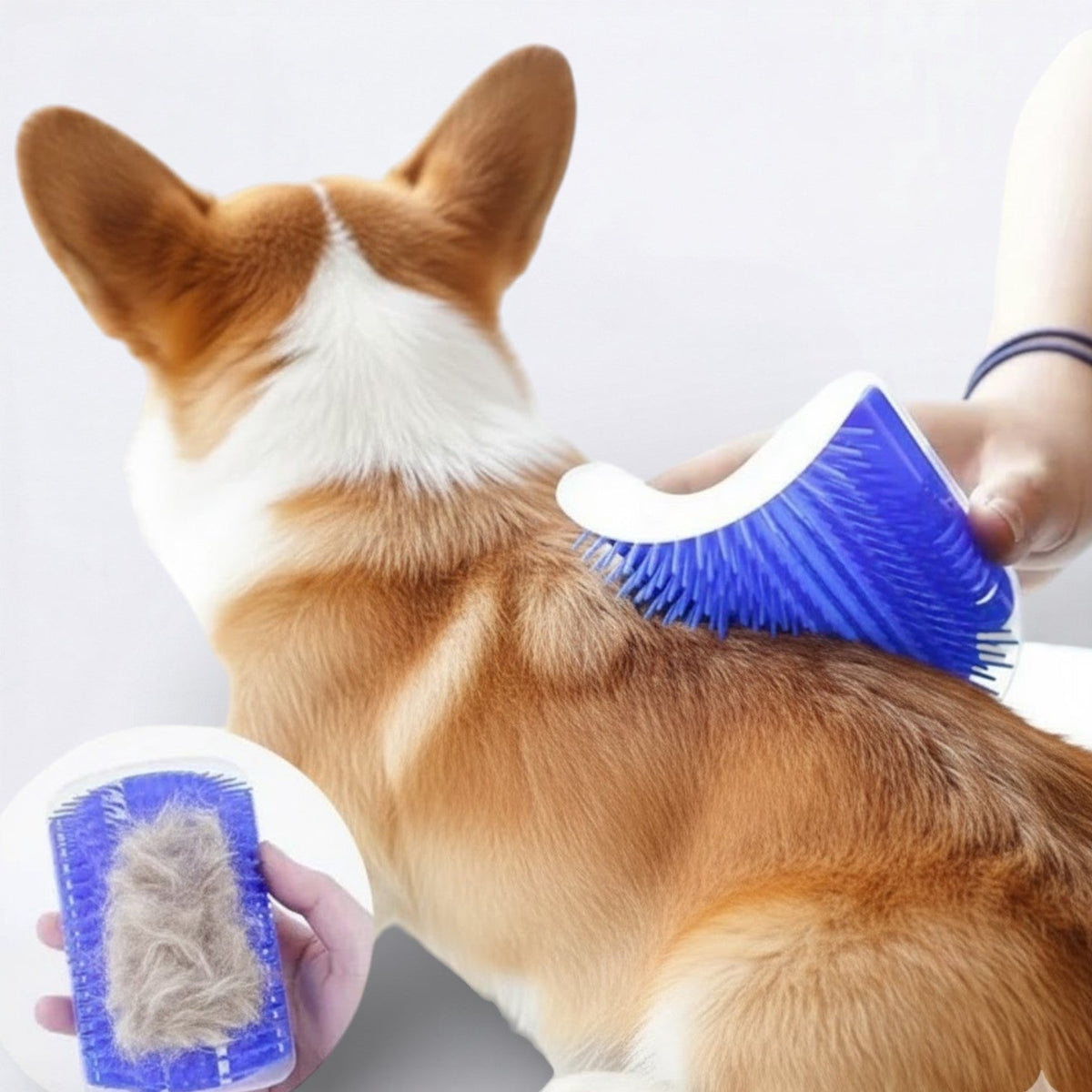 Dog-Massage-Hair-Removal-Brush.jpg