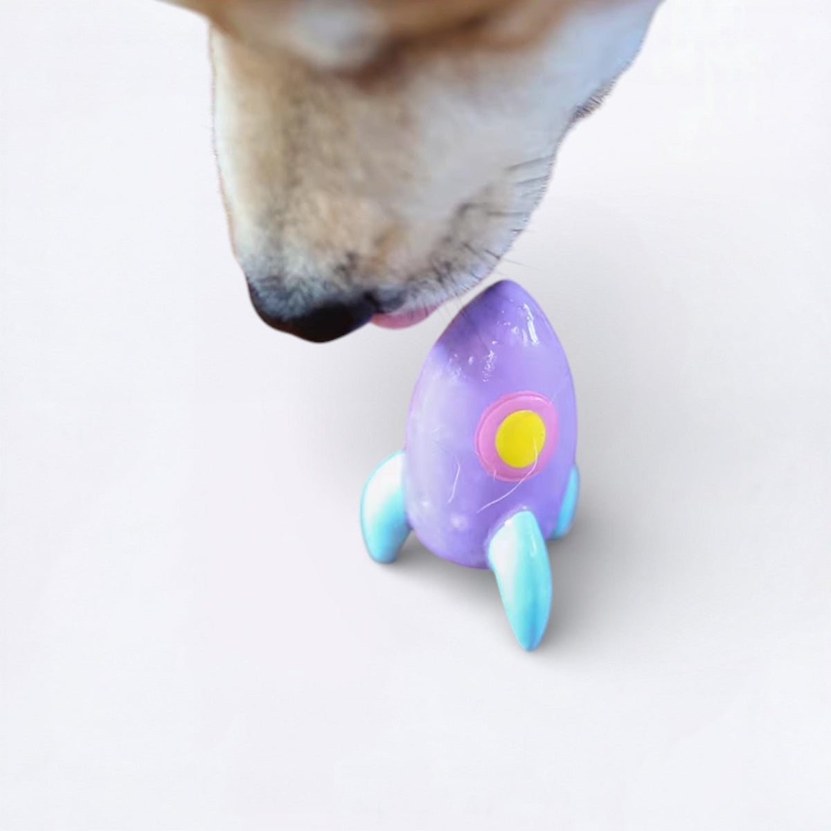 Dog-Mini-Squeaky-Toy.jpg