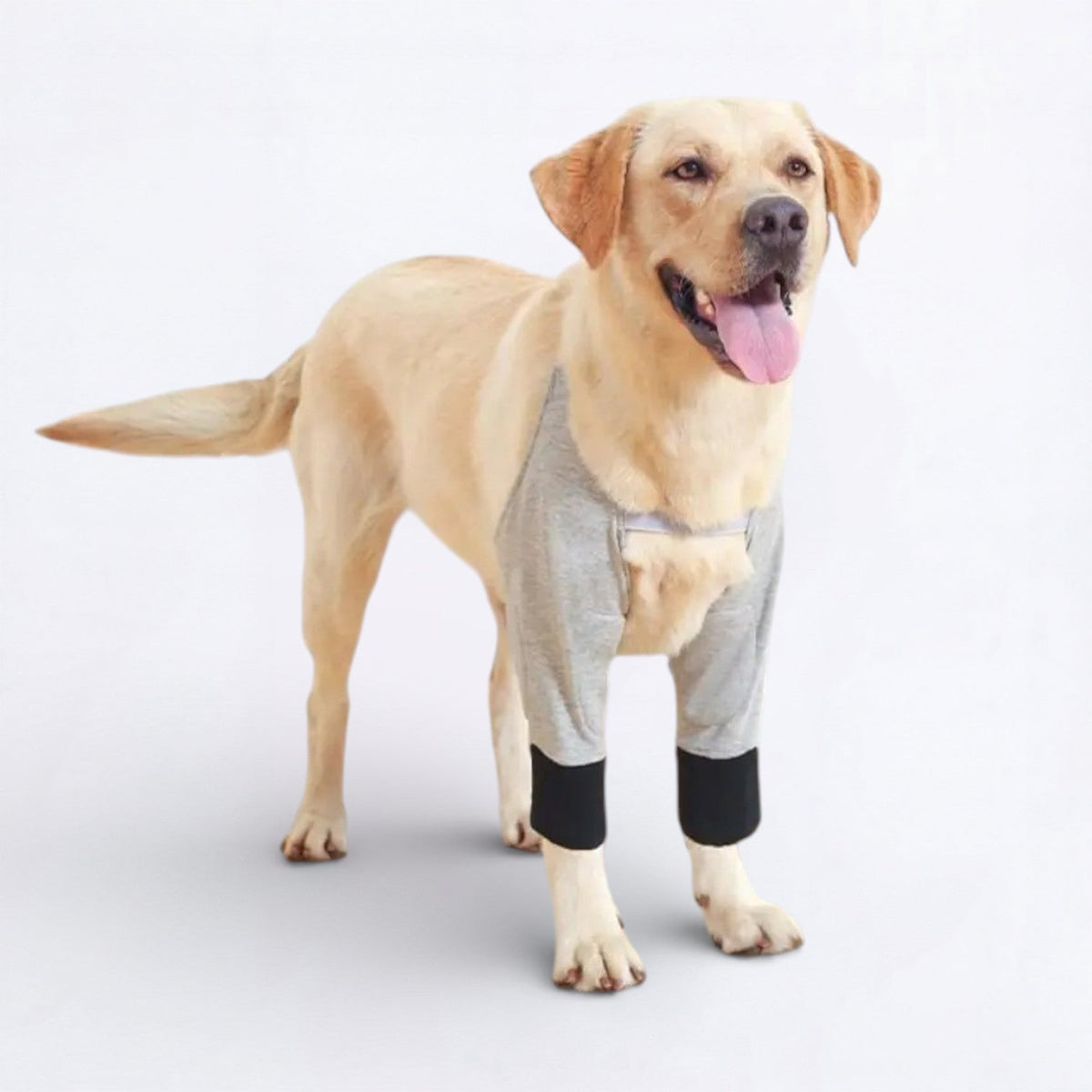 Dog-Recovery-Sleeve.jpg