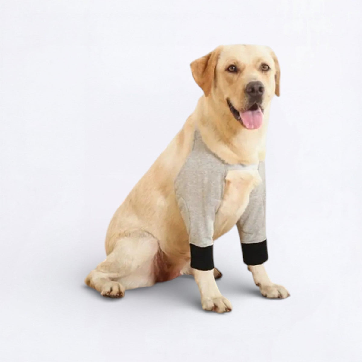 Dog-Recovery-Sleeve.jpg