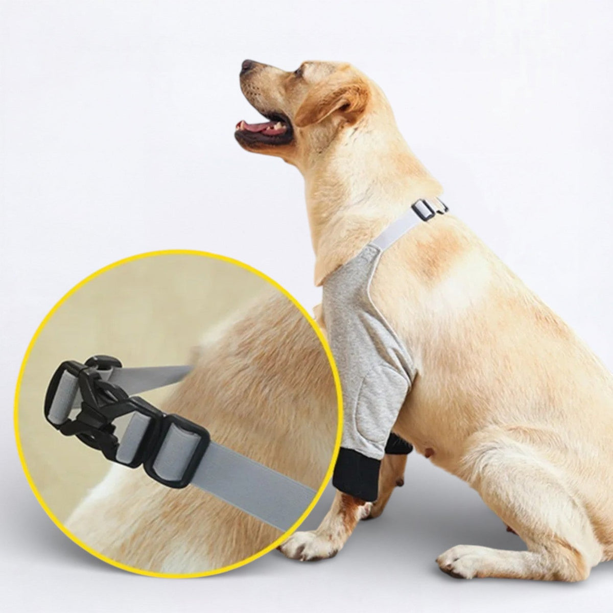 Dog-Recovery-Sleeve.jpg