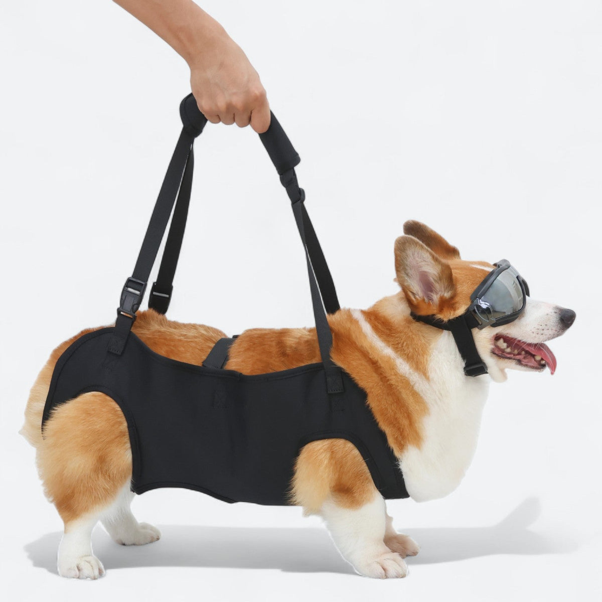 Full-body support sling harness for injured dogs