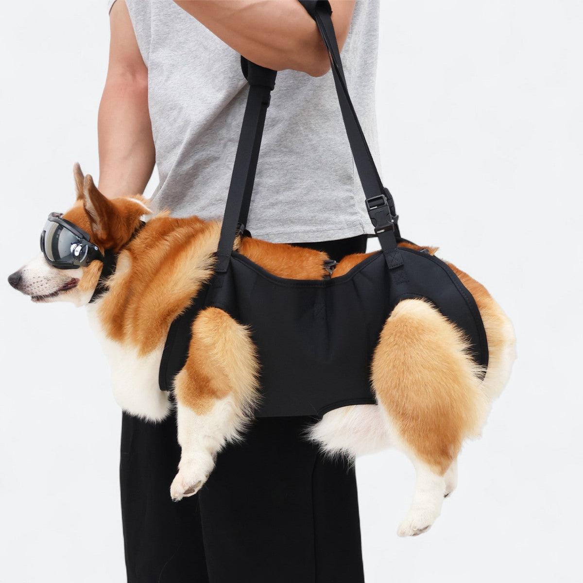 Dog-Support-Sling-Lift-Harness.jpg