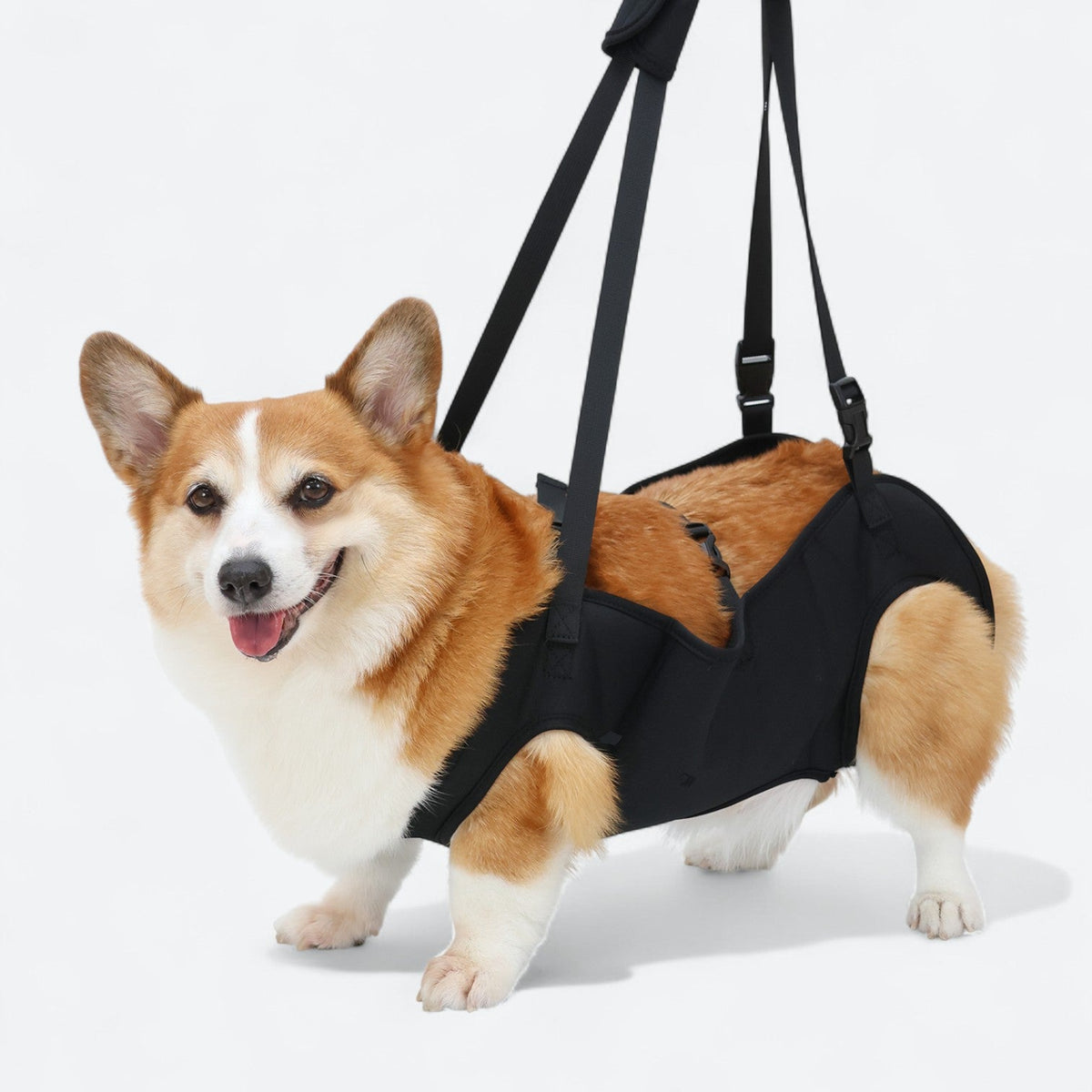 Dog-Support-Sling-Lift-Harness.jpg