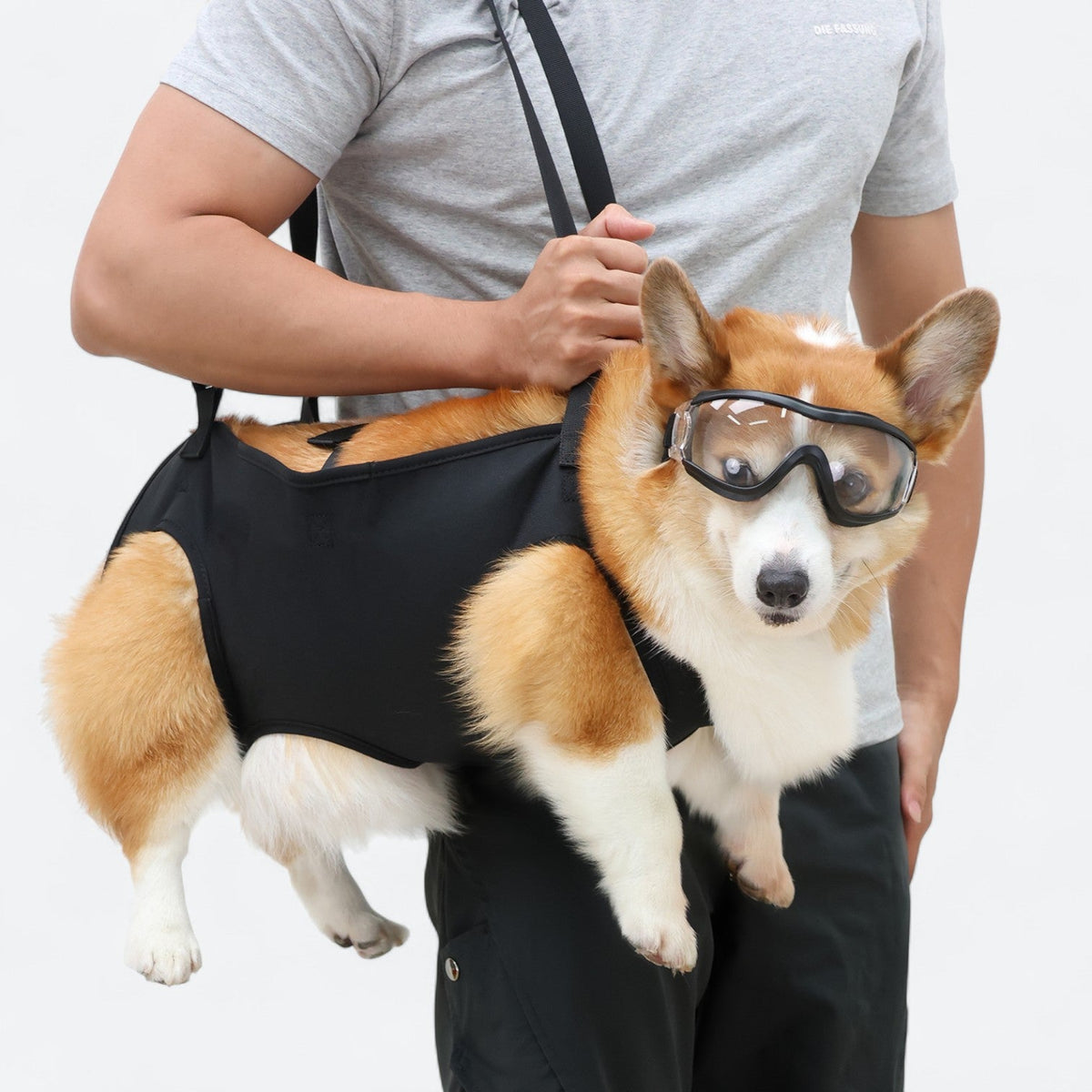 Dog-Support-Sling-Lift-Harness.jpg