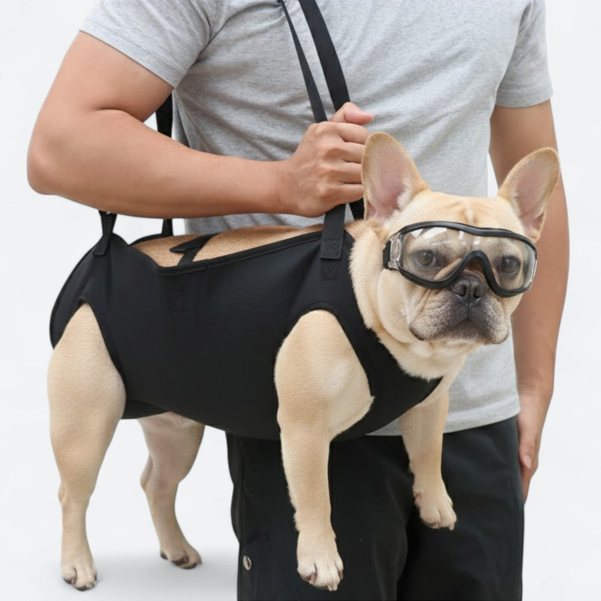 Dog-Support-Sling-Lift-Harness.jpg