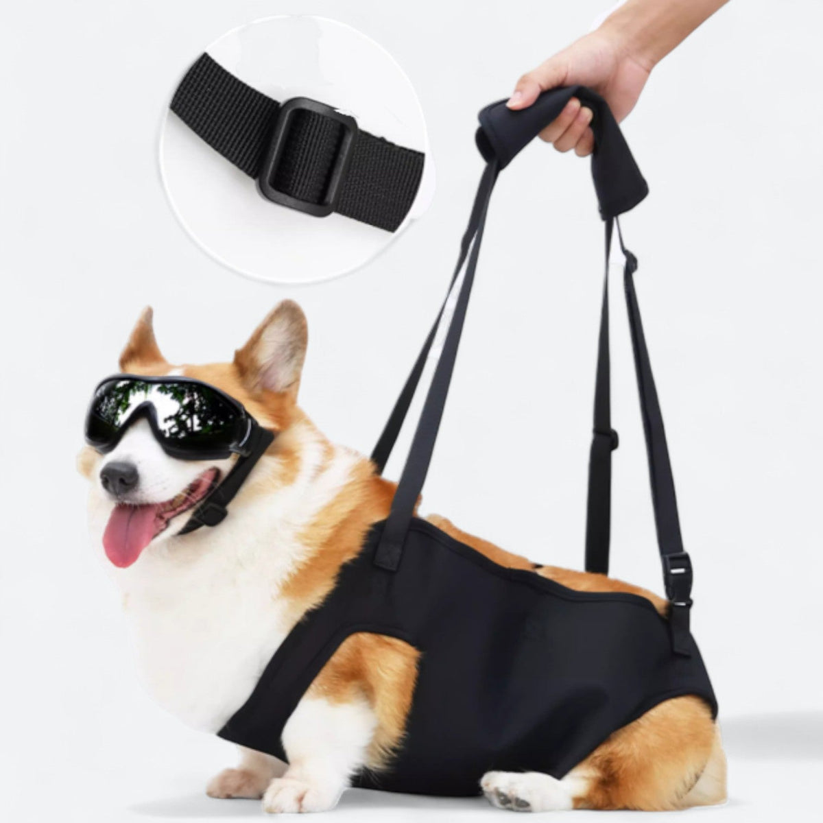 Dog-Support-Sling-Lift-Harness.jpg