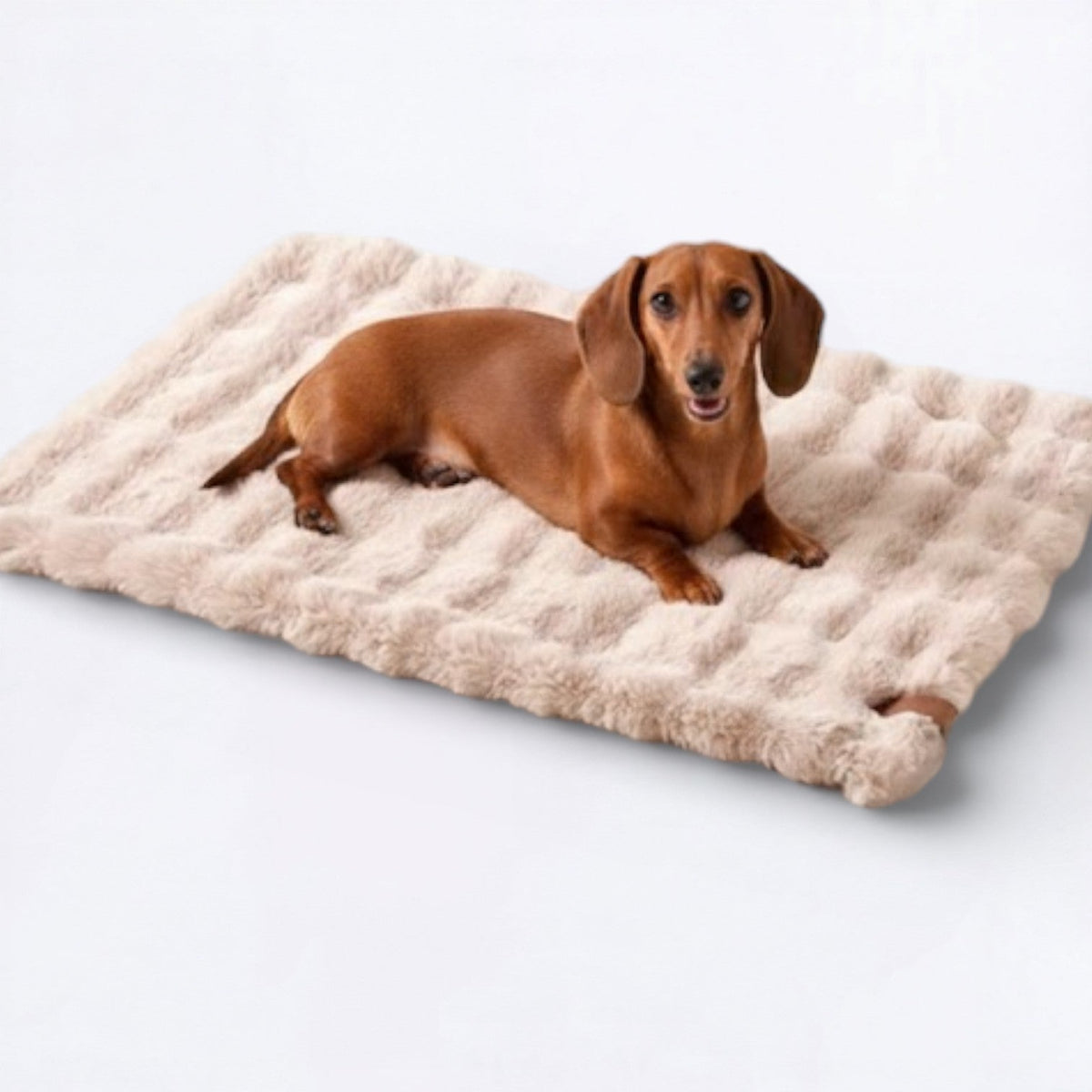 Double-Sided-Sleeping-Dog-Bed.jpg