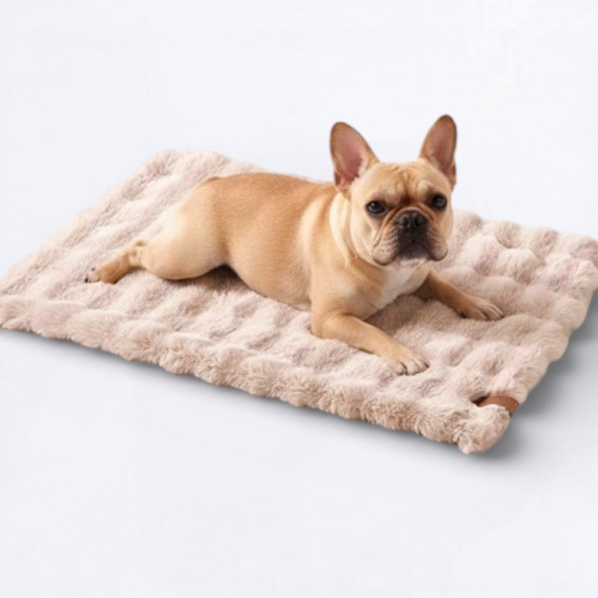 Double-Sided-Sleeping-Dog-Bed.jpg