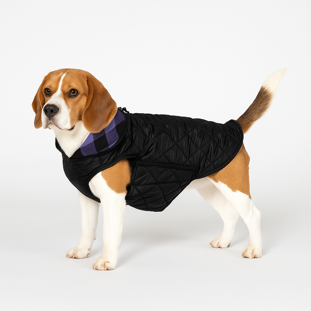 Dog wearing a double-sided windproof coat