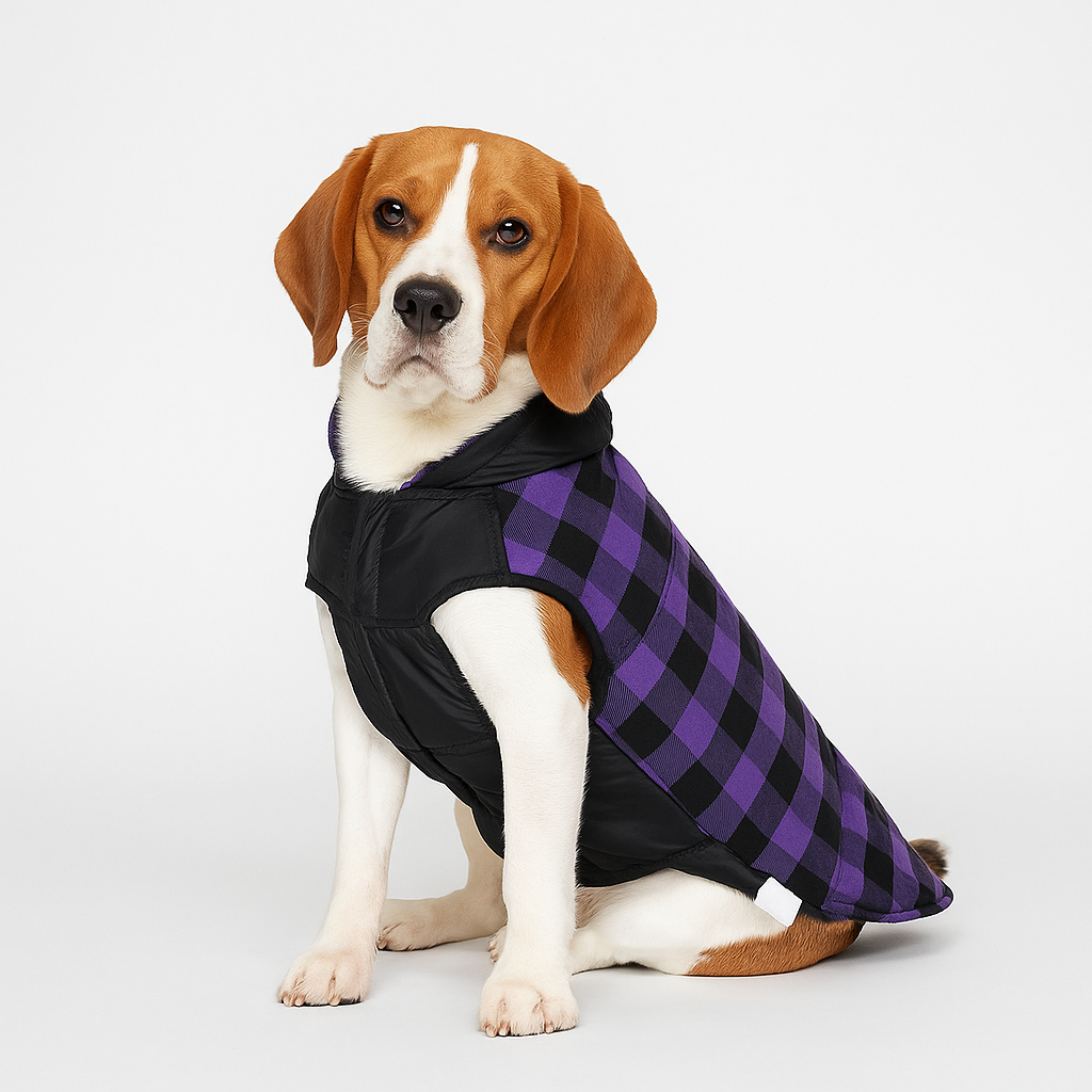 Double-Sided Windproof Iggy Coat