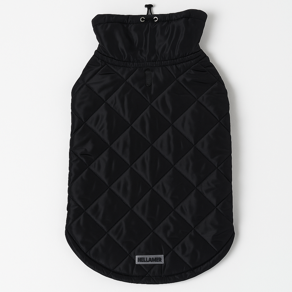 Double-Sided Windproof Iggy Coat