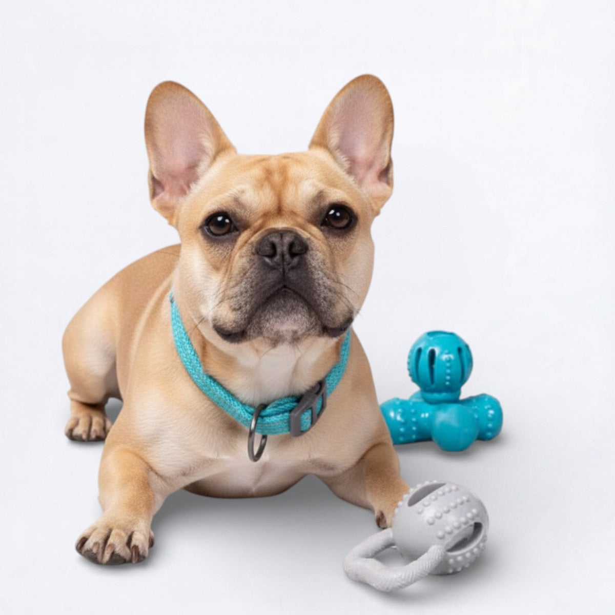 Educational-Dog-Treat-Dispenser-Toy.jpg