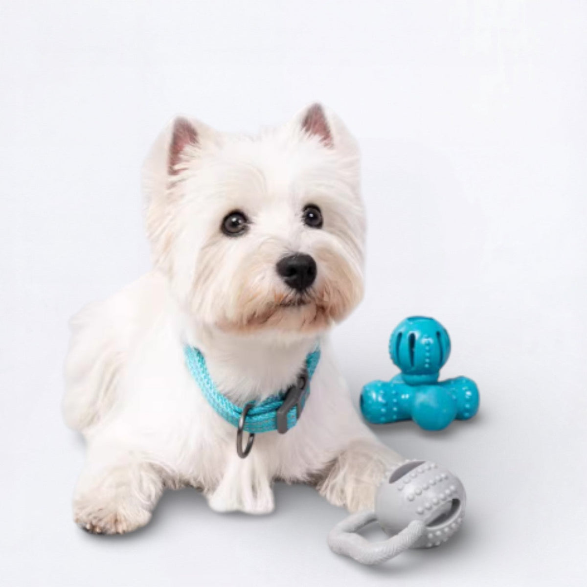 Educational-Dog-Treat-Dispenser-Toy.jpg