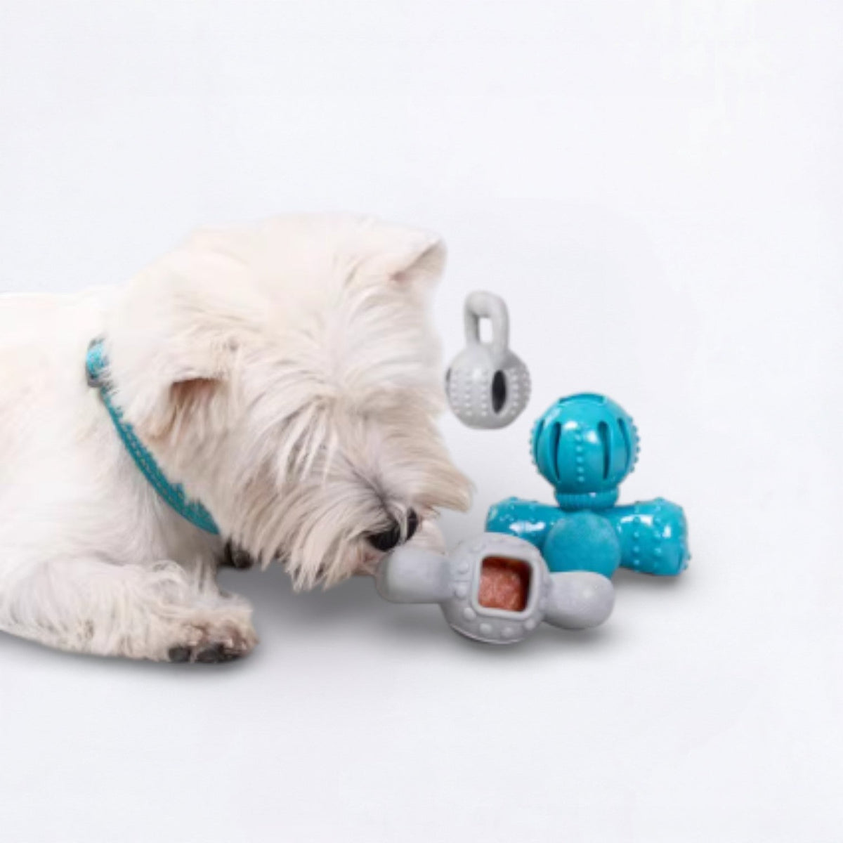 Educational-Dog-Treat-Dispenser-Toy.jpg