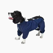 Dog wearing an elastic-cuff split raincoat