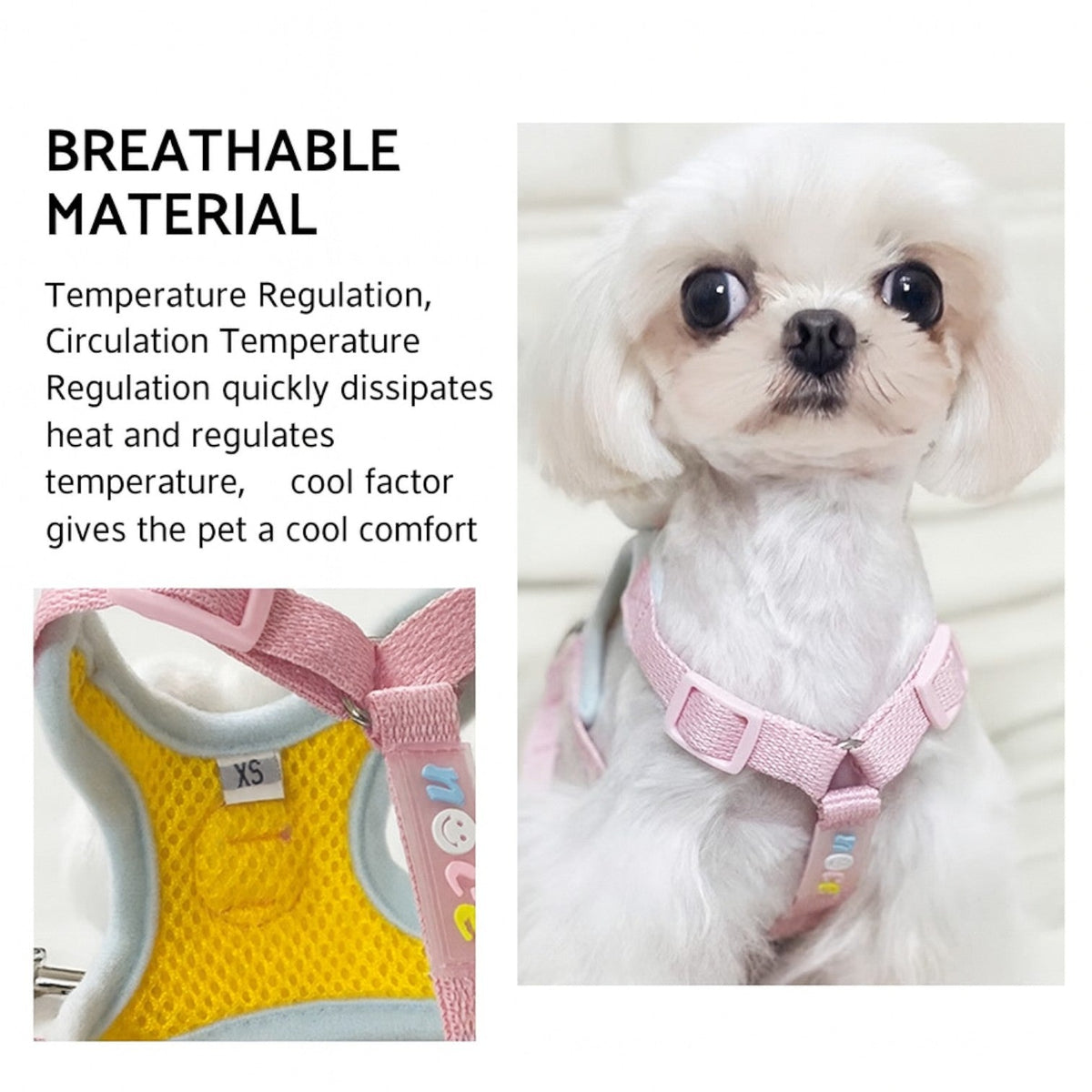 Elegant-Cartoon-Dog-Harness-Leash-Set.jpg