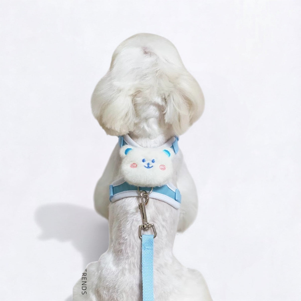 Elegant-Cartoon-Dog-Harness-Leash-Set.jpg