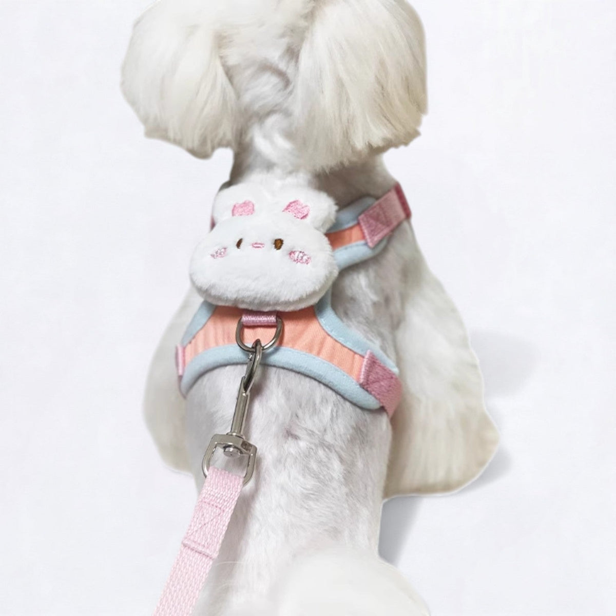 Elegant-Cartoon-Dog-Harness-Leash-Set.jpg
