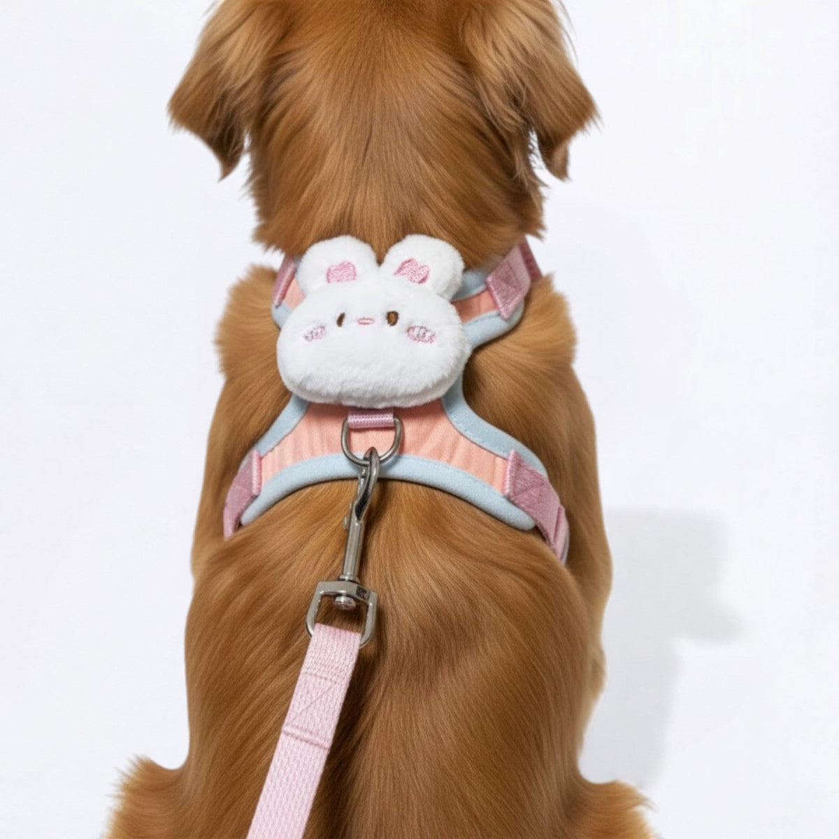 Elegant-Cartoon-Dog-Harness-Leash-Set.jpg