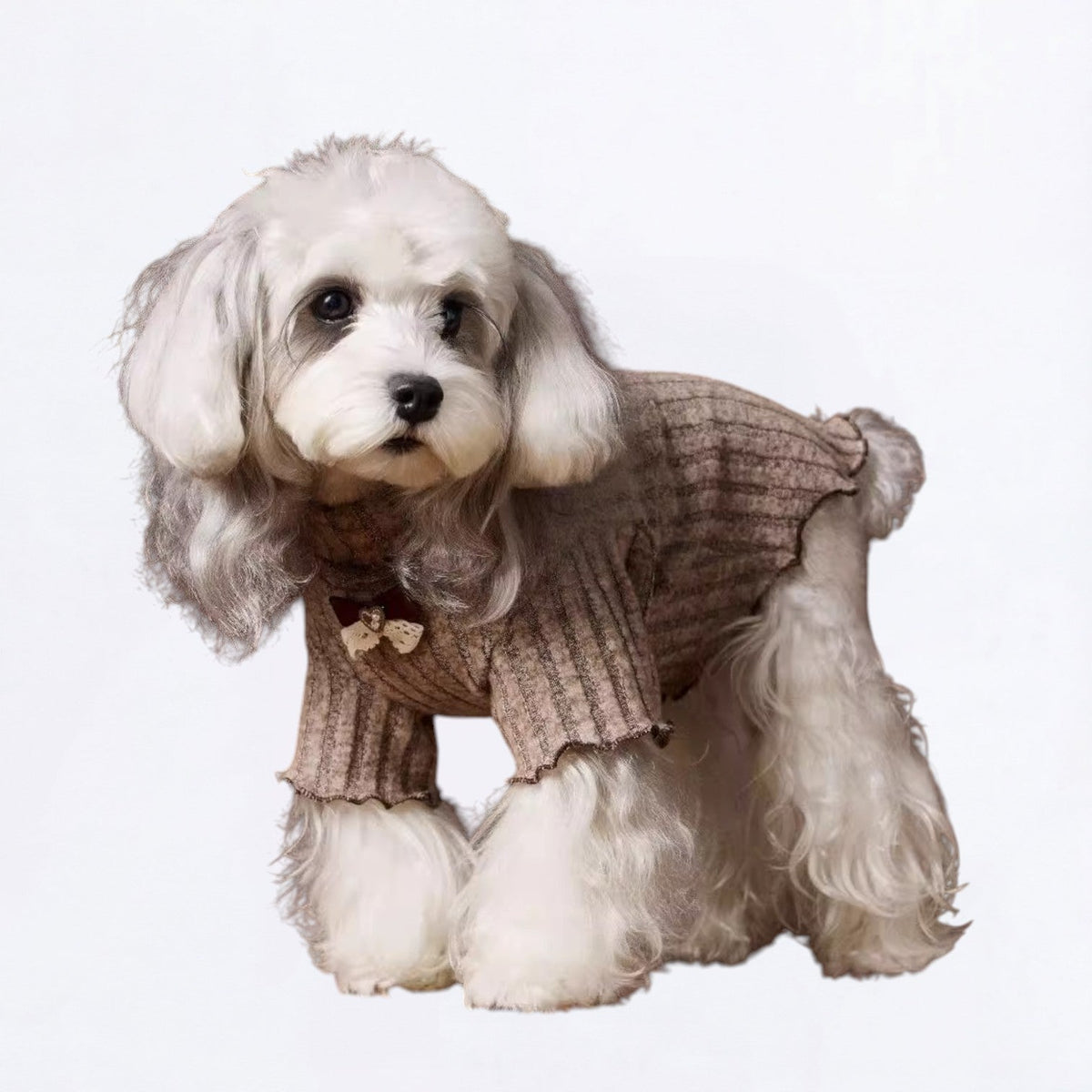 Elegant-High-Neck-Knitted-Dog-Sweater.jpg