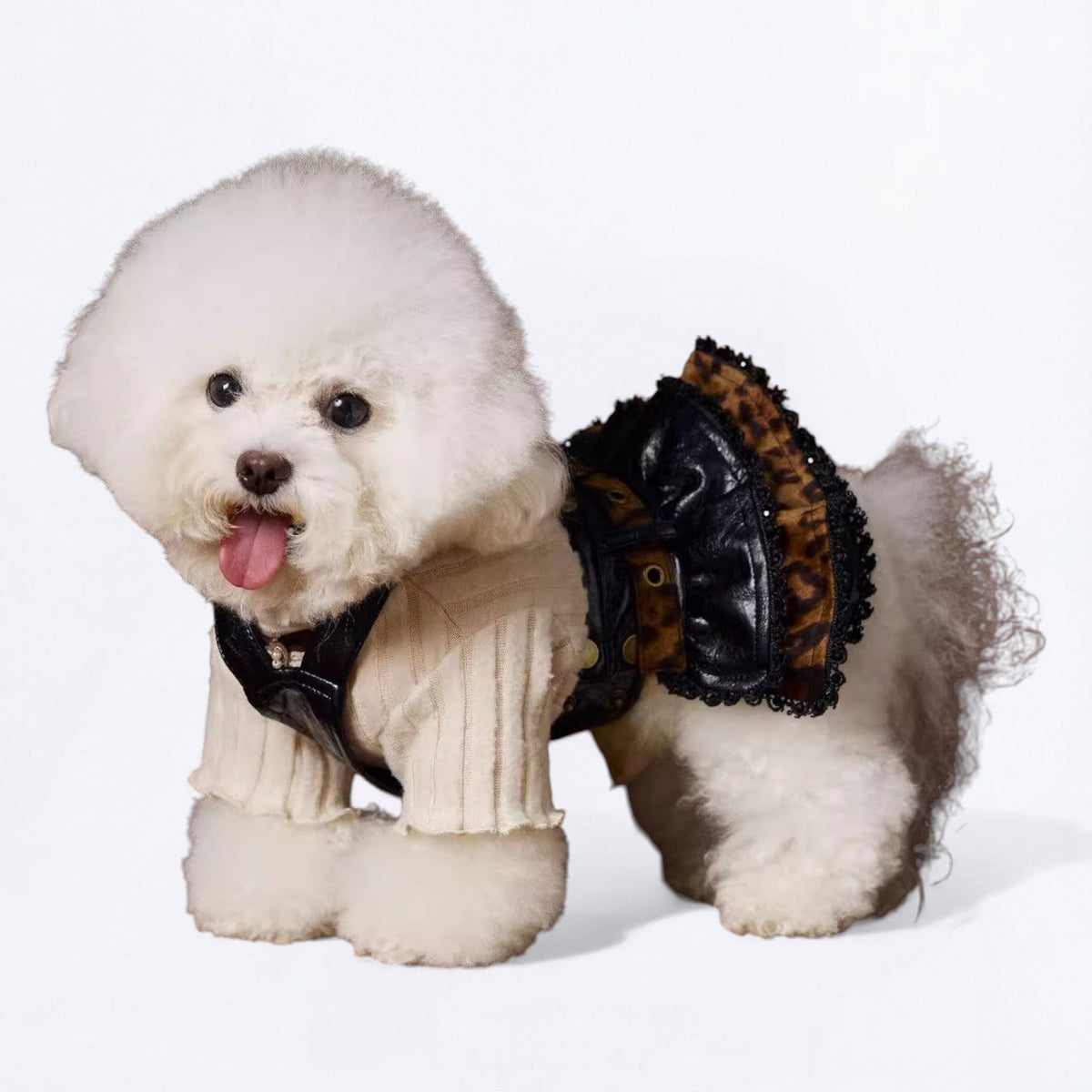 Elegant-High-Neck-Knitted-Dog-Sweater.jpg