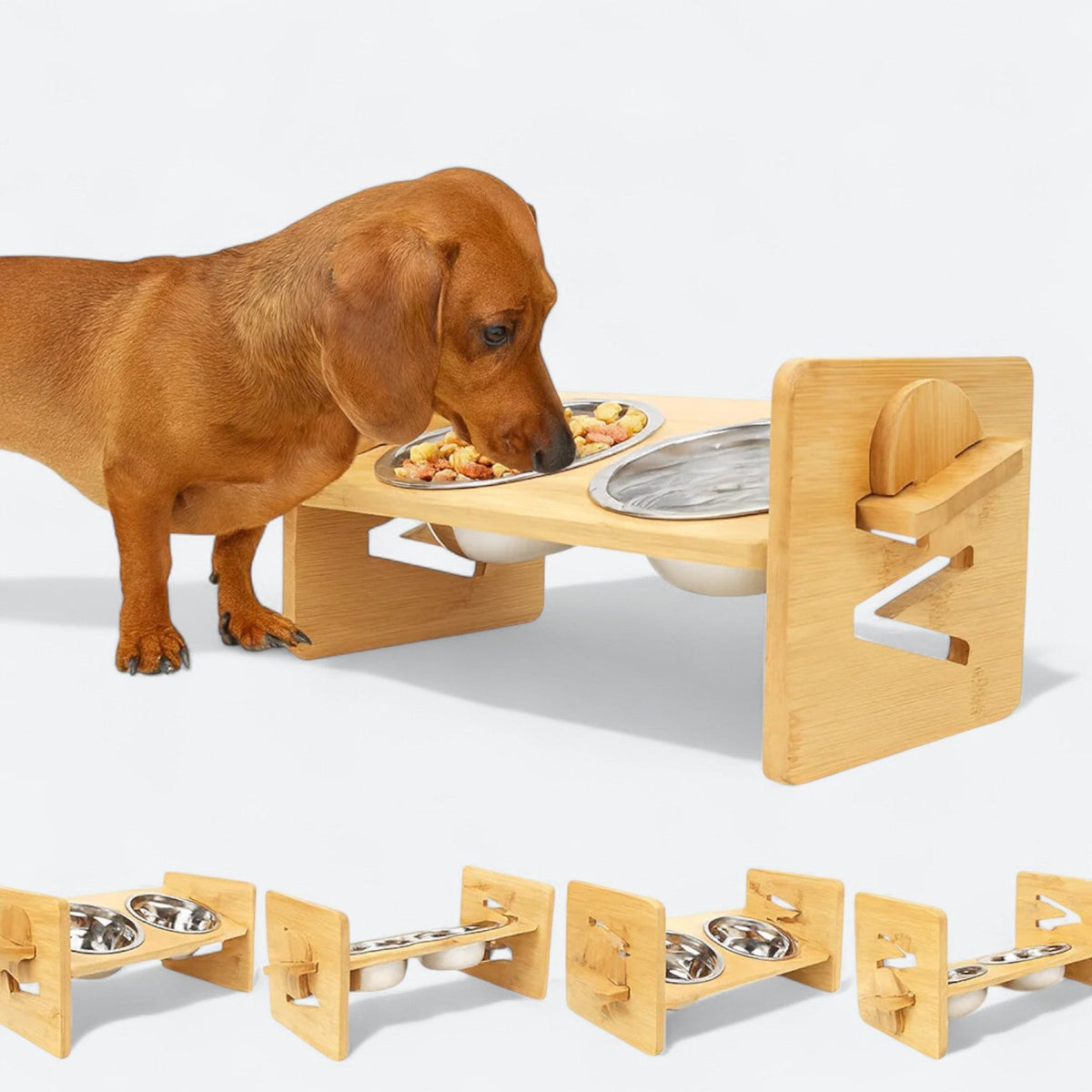 Elevated-Dog-Food-Bowl.jpg