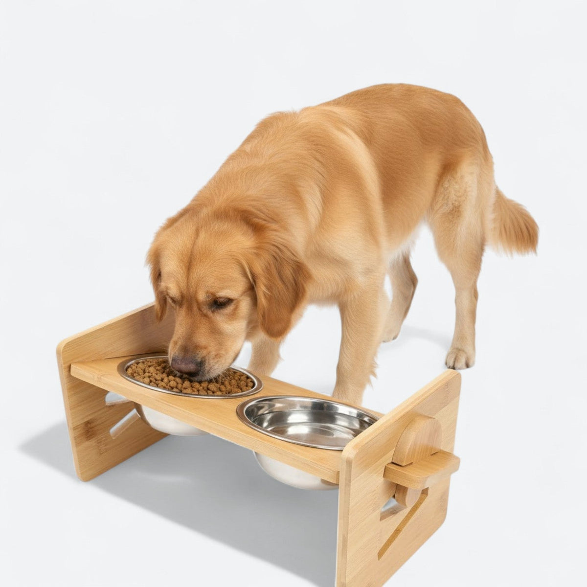 Elevated-Dog-Food-Bowl.jpg